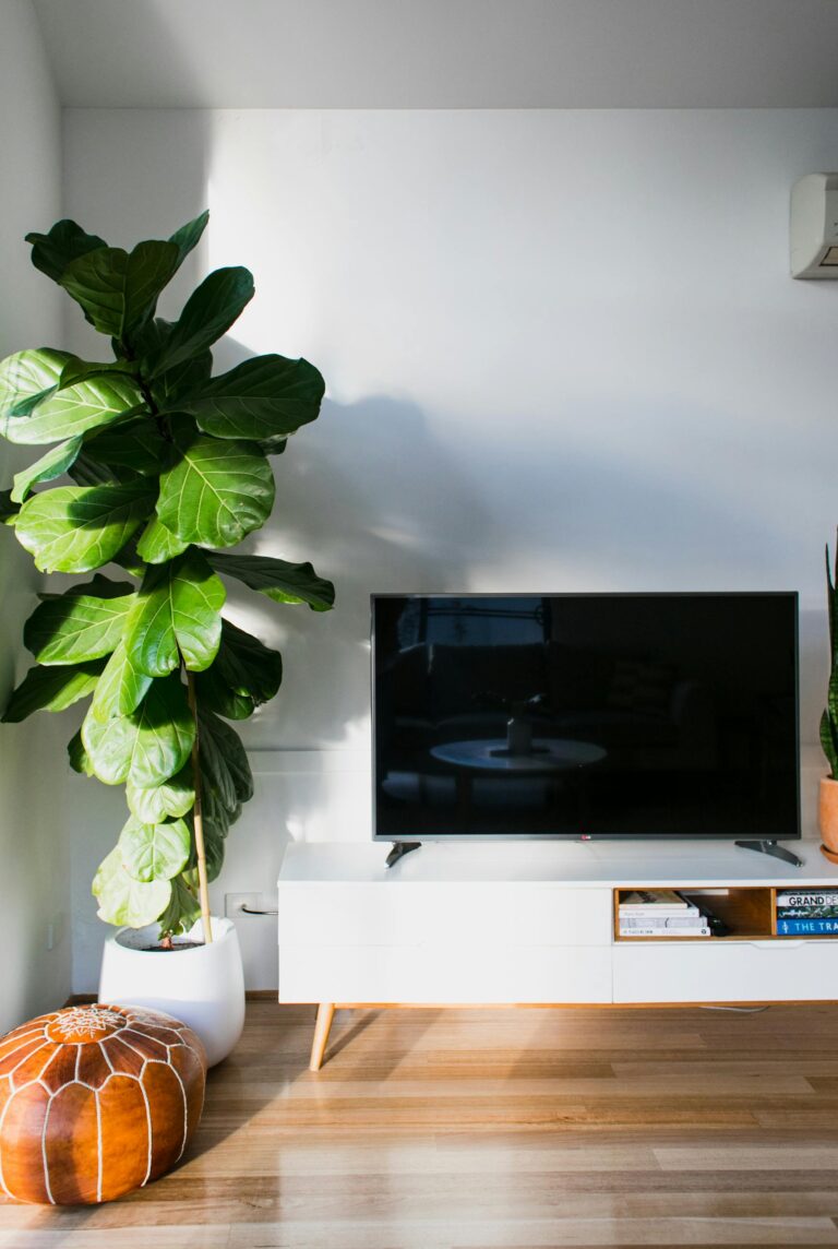 qled-tv_pic4